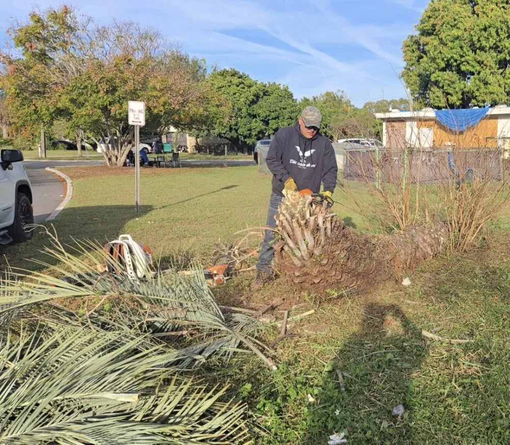 Professional residential landscaping for residential properties in Winter Park, FL by Hernandez Home & Landscaping Solutions