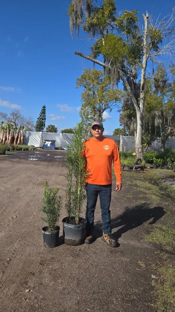 Affordable landscape design near you across Winter Park, FL - Hernandez Home & Landscaping Solutions