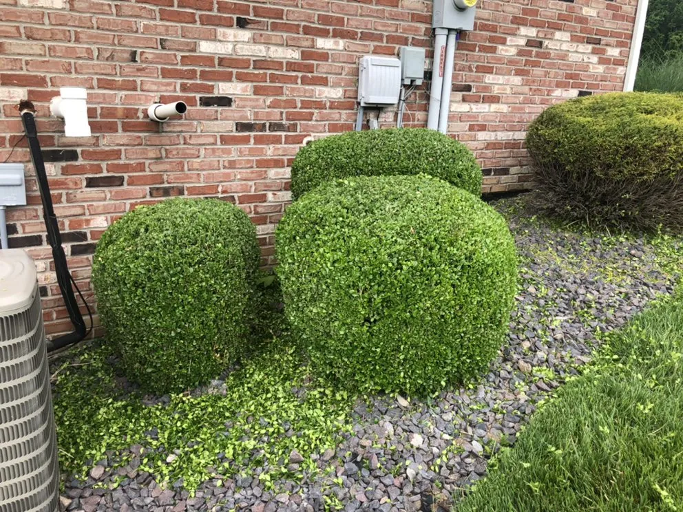 Affordable residential landscaping near you across Collinsville, IL - Hernandez home improvements