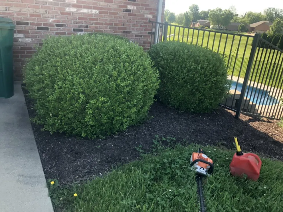 Professional outdoor landscaping for beautiful yards across Collinsville, IL - Hernandez home improvements