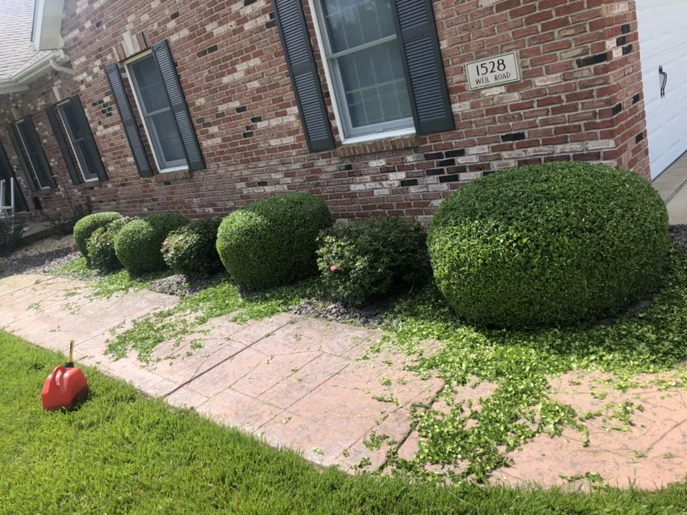 Custom yard cleanup service in Collinsville, IL by Hernandez home improvements