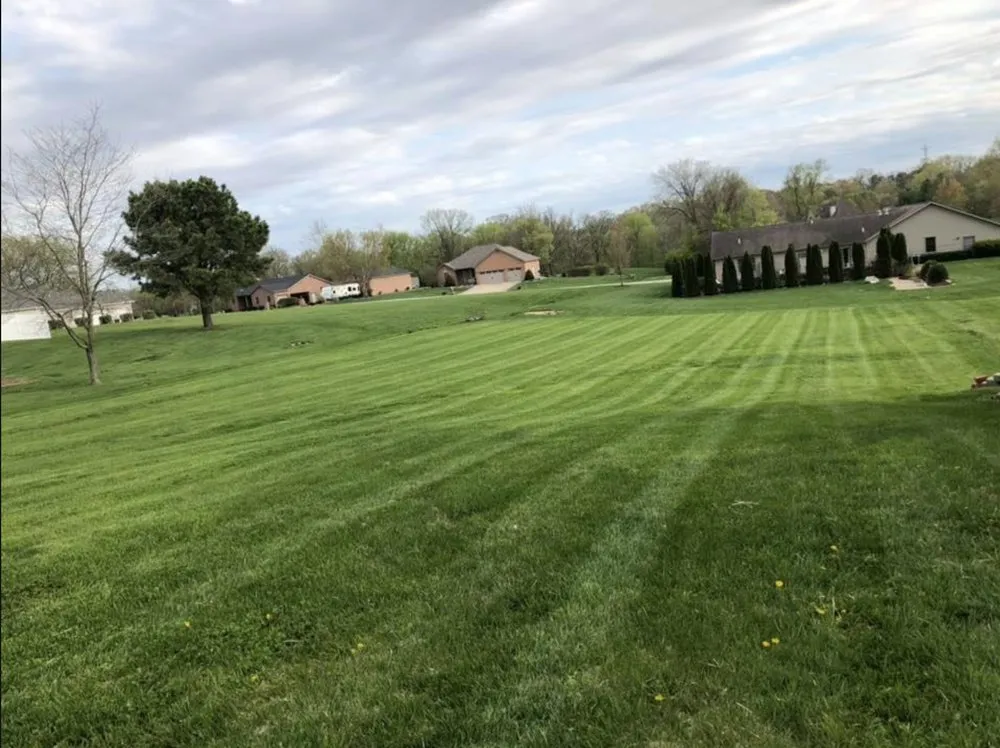 Local lawn mowing service for beautiful yards in Collinsville, IL by Hernandez home improvements