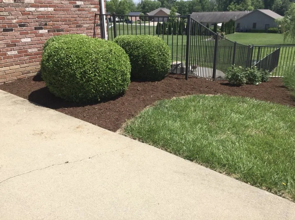Top-rated yard cleanup service for residential properties across Collinsville, IL - Hernandez home improvements
