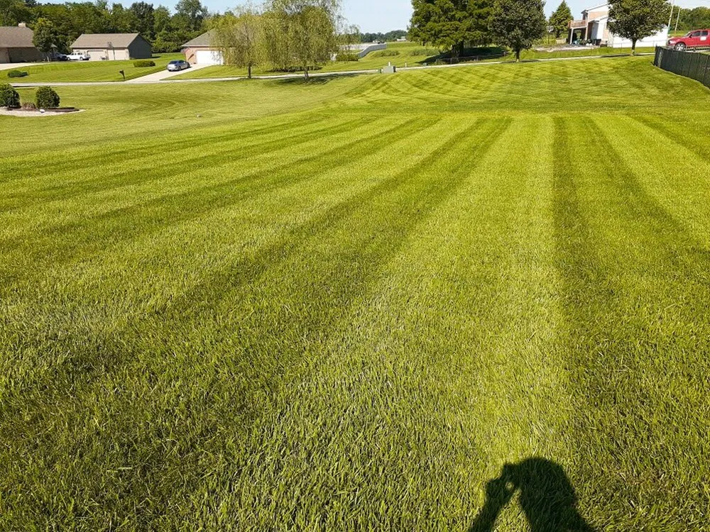 Top-rated landscape installation in Collinsville, IL by Hernandez home improvements