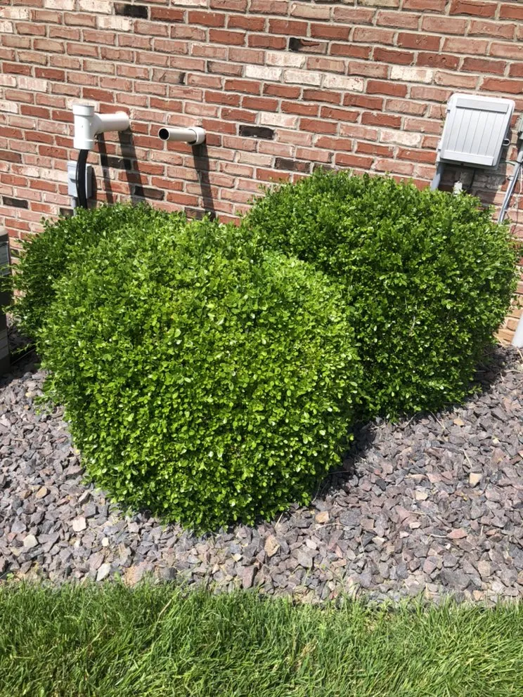 Custom landscape design in Collinsville, IL by Hernandez home improvements