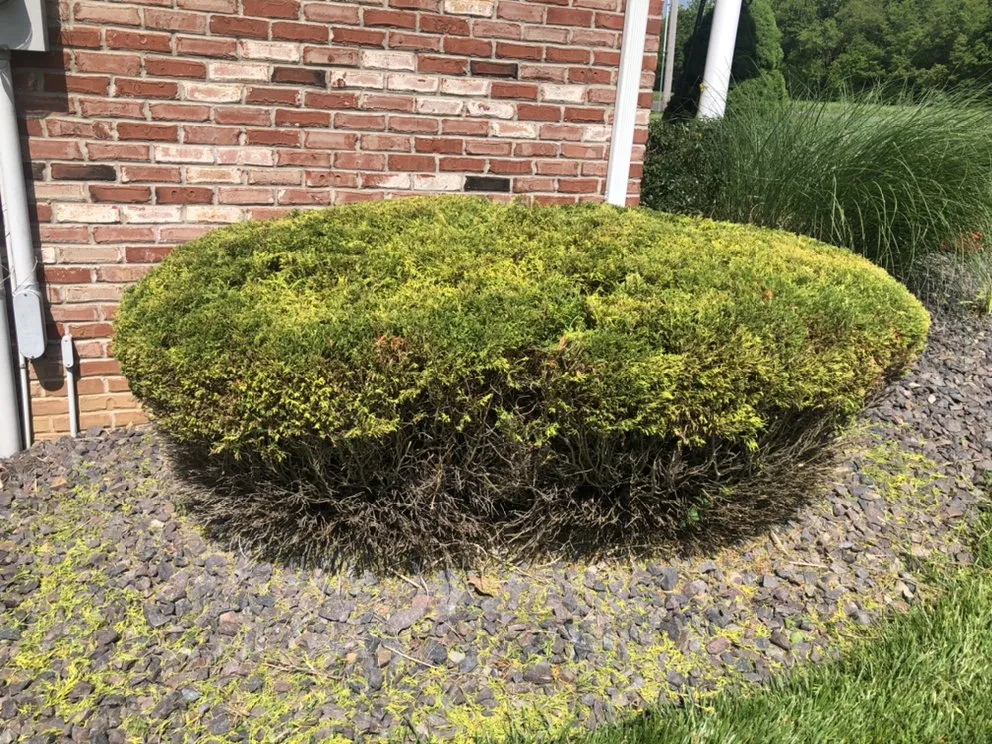 Top-rated garden landscaping experts serving Collinsville, IL - Hernandez home improvements