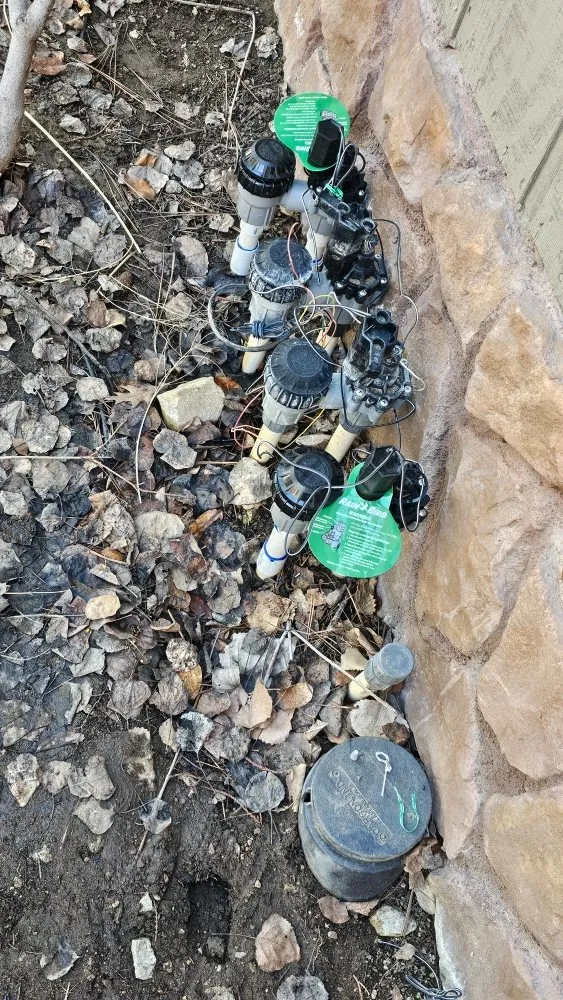 Custom lawn mowing service in La Habra, CA - Hernandez Home Services