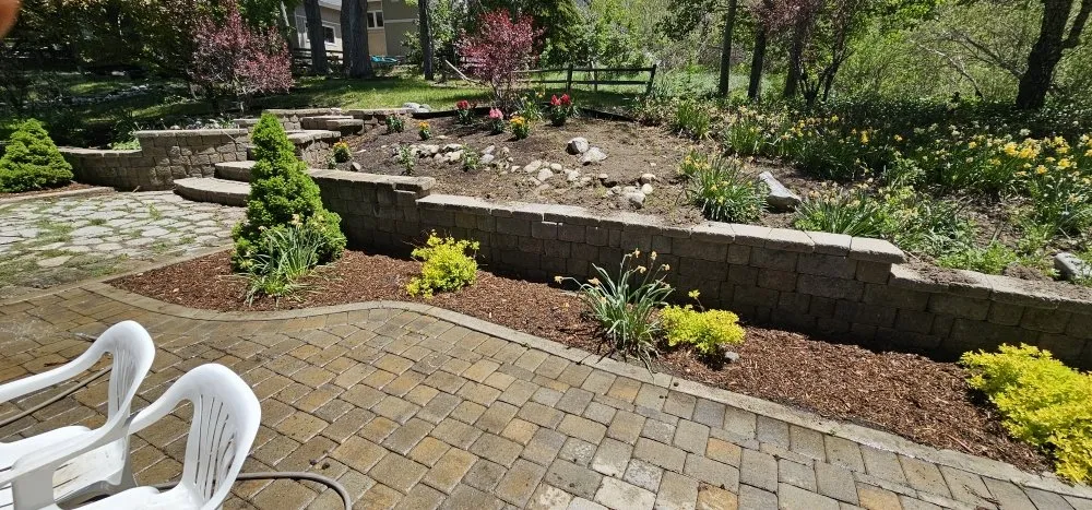 Expert lawn care service near you across La Habra, CA - Hernandez Home Services