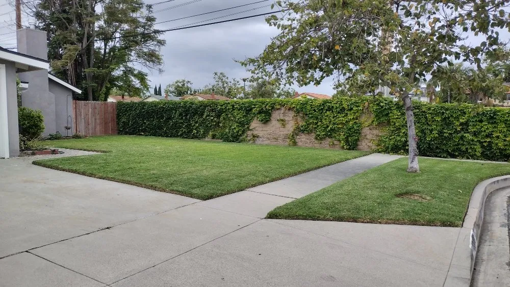 Expert yard maintenance near you in Long Beach, CA by Hernandez Land and Hardscaping