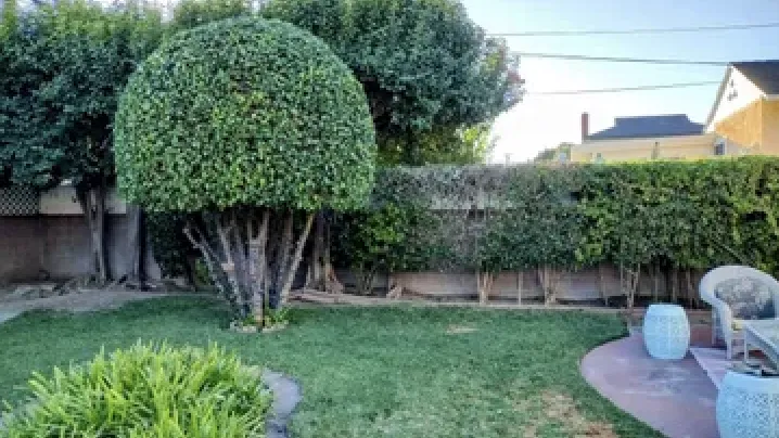 Professional residential landscaping in Long Beach, CA - Hernandez Land and Hardscaping