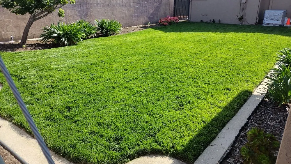 Reliable lawn care service in Long Beach, CA by Hernandez Land and Hardscaping