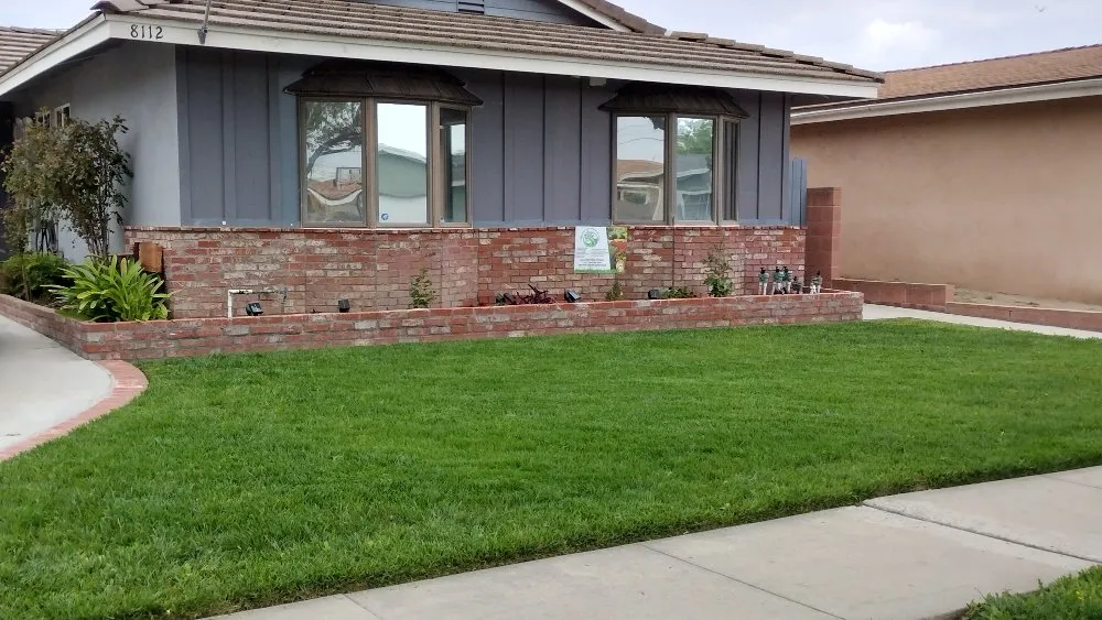 Local lawn care service experts serving Long Beach, CA - Hernandez Land and Hardscaping