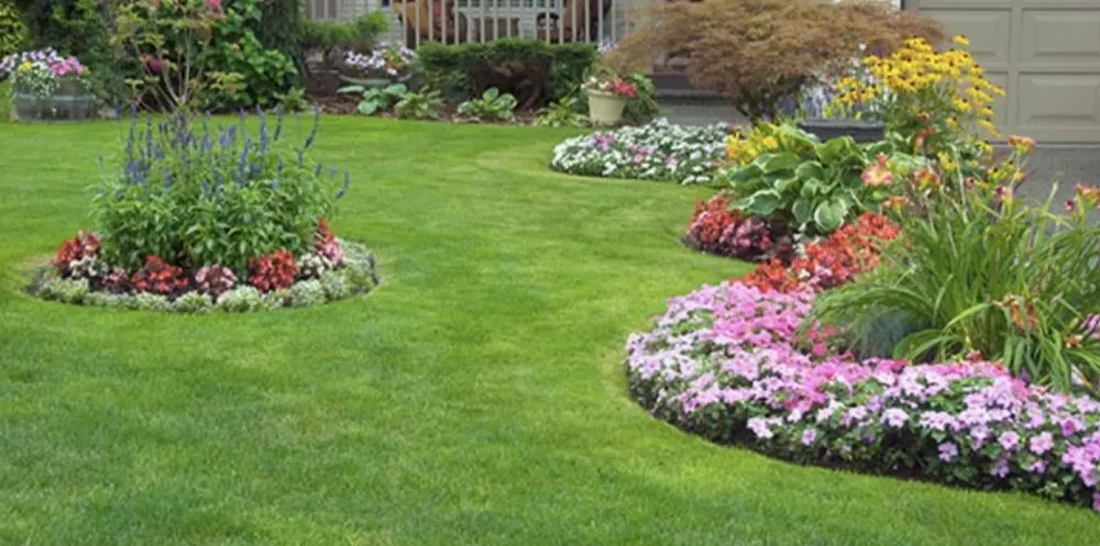 Top-rated residential landscaping in Long Beach, CA - Hernandez Land and Hardscaping