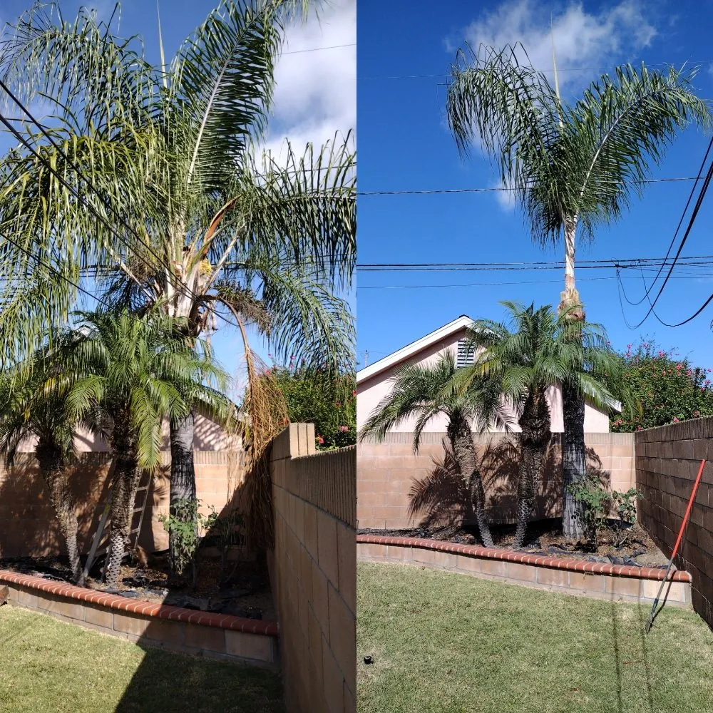 Reliable outdoor landscaping for outdoor upgrades in Long Beach, CA by Hernandez Land and Hardscaping