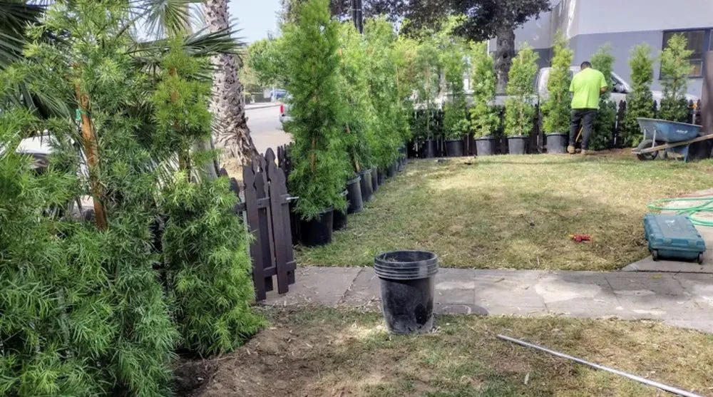 Local landscape design in Long Beach, CA - Hernandez Land and Hardscaping