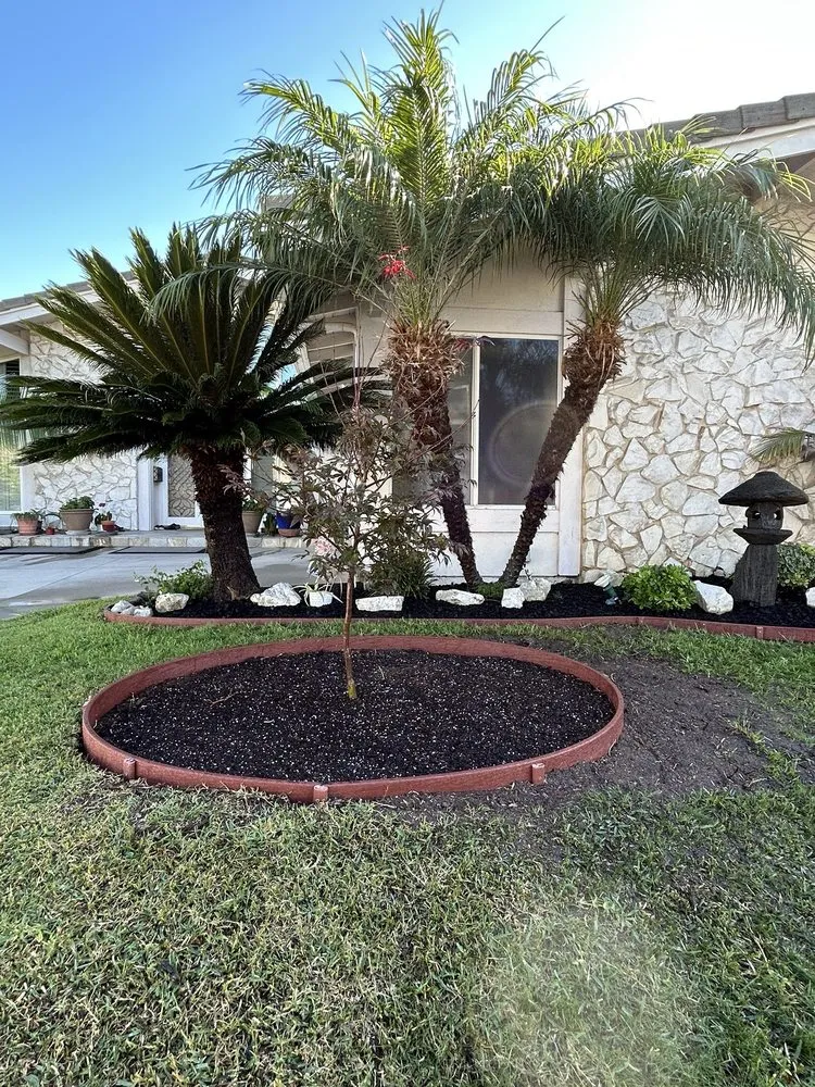 Local yard cleanup service in Long Beach, CA by Hernandez Land and Hardscaping