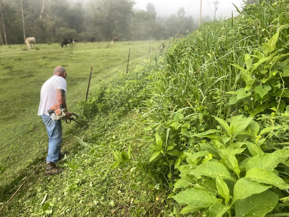 Local landscaping services in Old Landing, KY - Hernandez Land Service’s