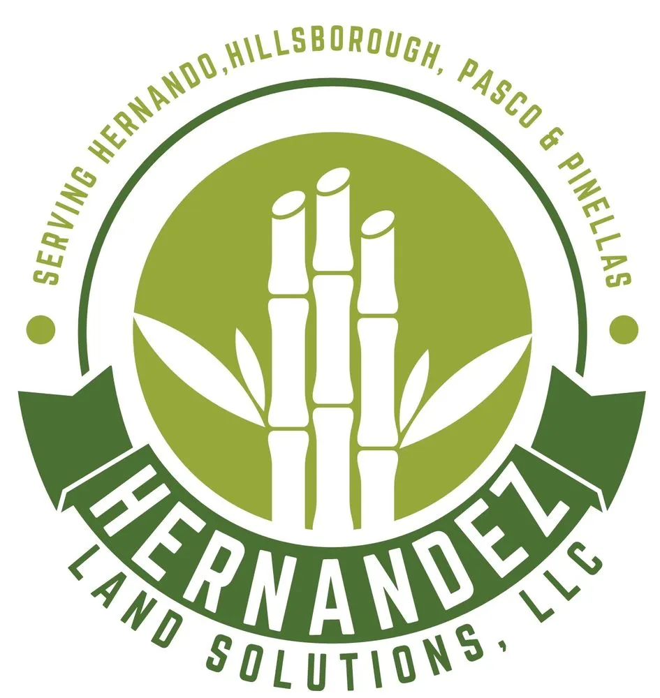 Top-rated lawn care service experts serving Hudson, FL - Hernandez Land Solutions