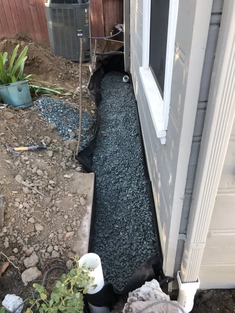 Trusted lawn care service for year-round maintenance in San Mateo, CA by Hernandez Landscape & Construction