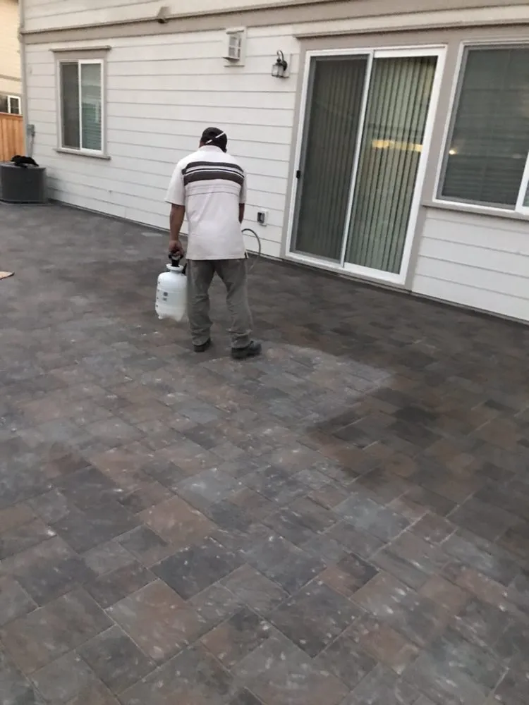 Affordable lawn care service near you in San Mateo, CA by Hernandez Landscape & Construction