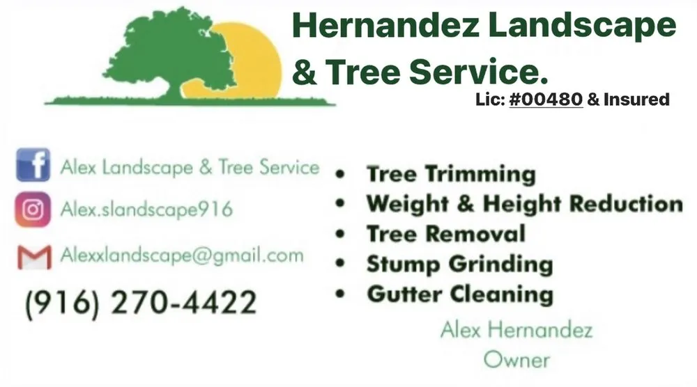 Reliable lawn care service for year-round maintenance in Sacramento, CA by Hernandez Landscape & Tree Service