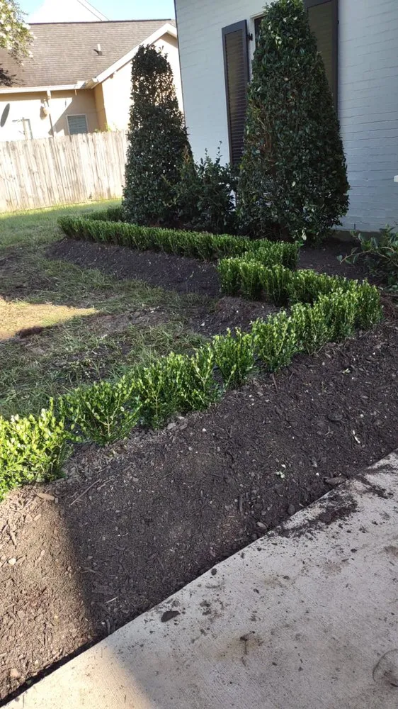 Affordable landscape design in Baton Rouge, LA - Hernandez Landscape