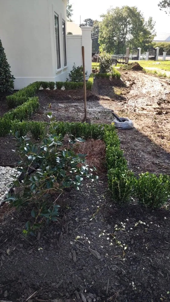 Affordable landscape installation in Baton Rouge, LA by Hernandez Landscape