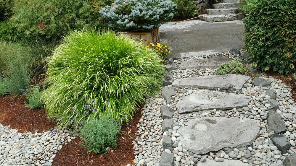 Professional yard maintenance for residential properties in Beaverton, OR by Hernandez Landscape