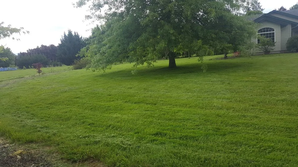 Trusted landscape design experts serving Beaverton, OR - Hernandez Landscape