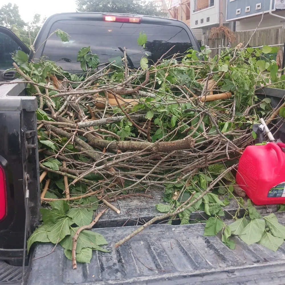 Affordable lawn care service in Houston, TX - Hernandez Landscape