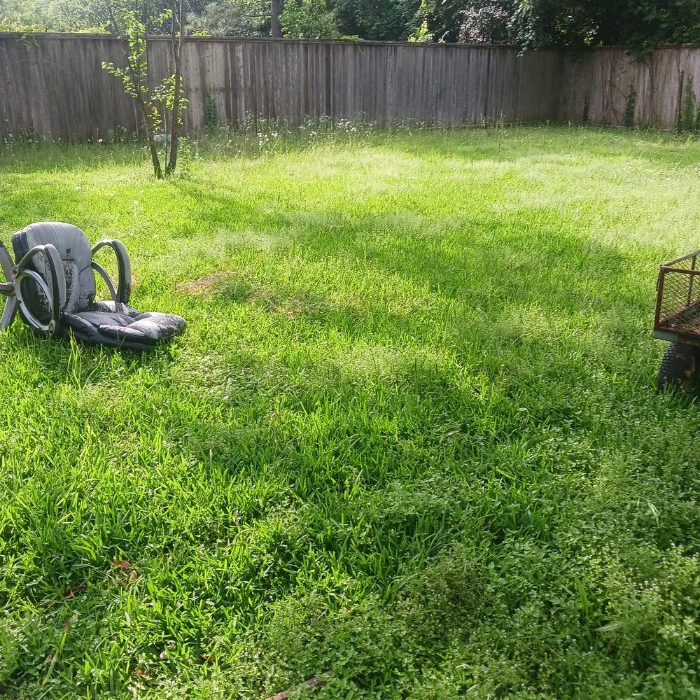 Reliable yard cleanup service for homes across Houston, TX - Hernandez Landscape