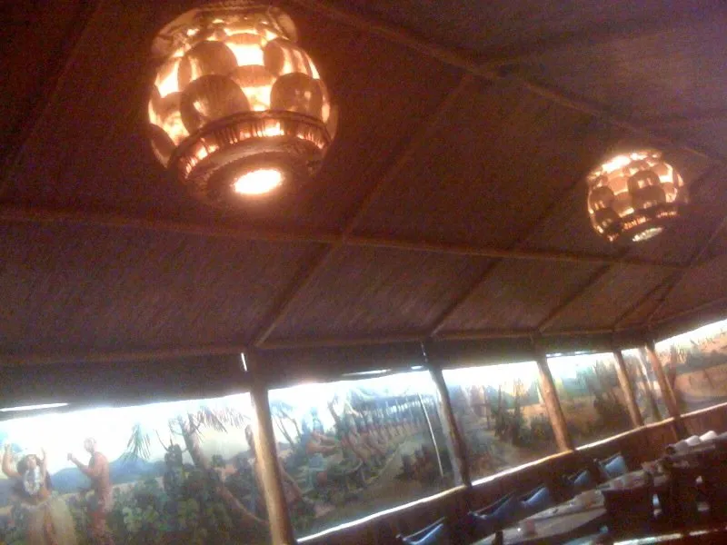 Local lawn care service experts serving Houston, TX - Hernandez Landscape