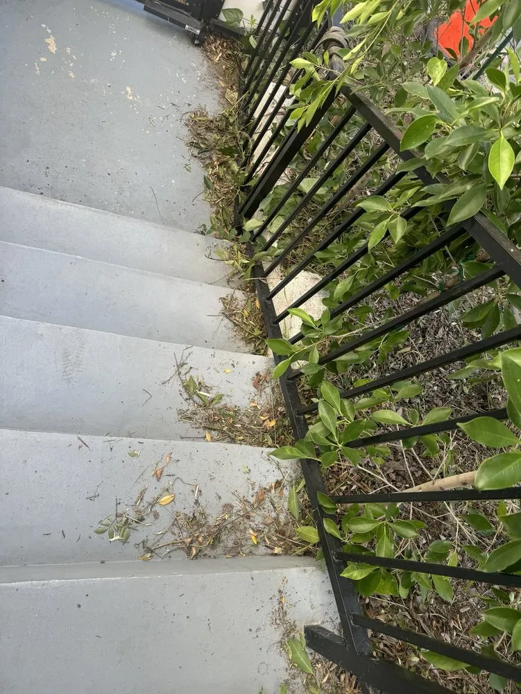 Top-rated garden landscaping in Los Angeles, CA - Hernandez Landscape