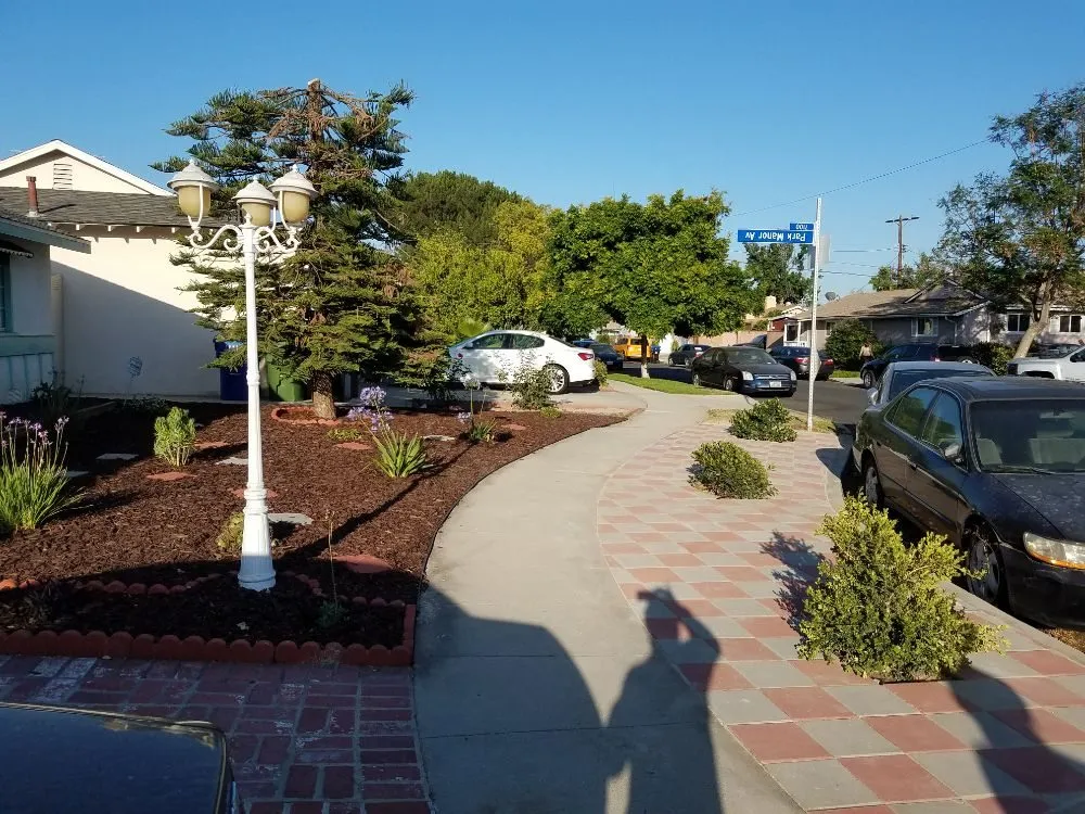 Affordable yard maintenance experts serving Los Angeles, CA - Hernandez Landscape