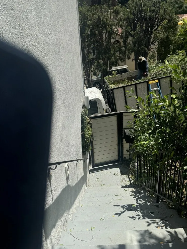 Top-rated landscaping services experts serving Los Angeles, CA - Hernandez Landscape