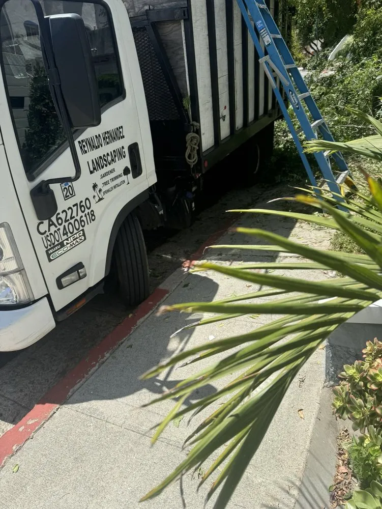 Trusted landscape installation in Los Angeles, CA - Hernandez Landscape