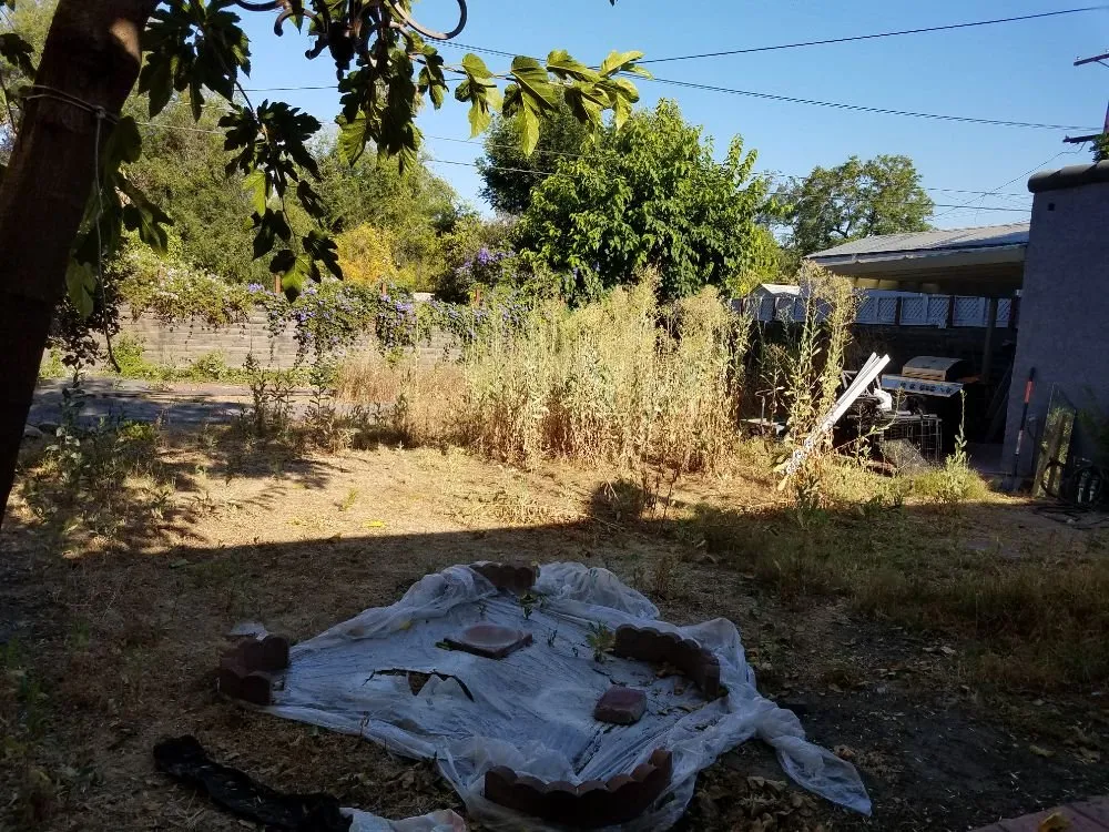 Top-rated landscaping services in Los Angeles, CA - Hernandez Landscape