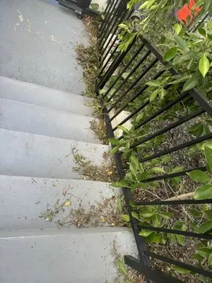 Hernandez Landscape Logo