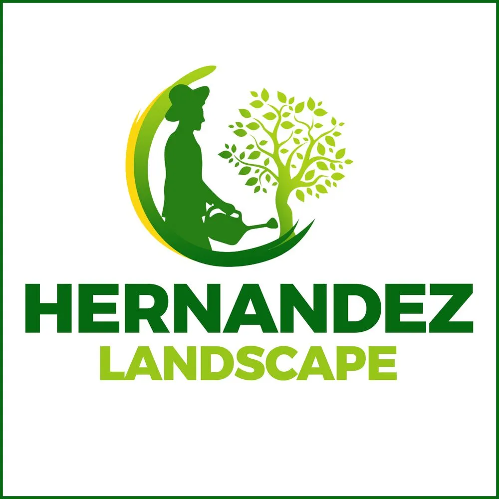 Reliable yard cleanup service near you in Mira Monte, CA by Hernandez Landscape