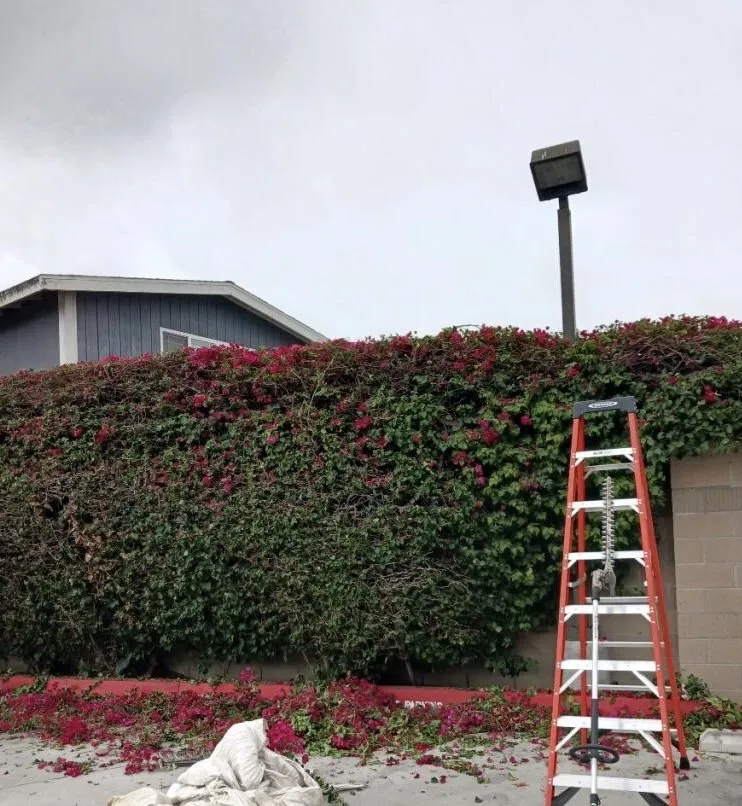 Local landscape design experts serving Huntington Beach, CA - Hernandez Landscape Service & Gardening Maintenance