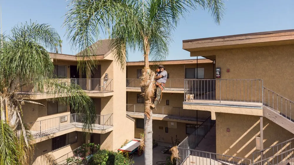 Top-rated lawn mowing service for year-round maintenance across Vista, CA - Hernandez Landscape