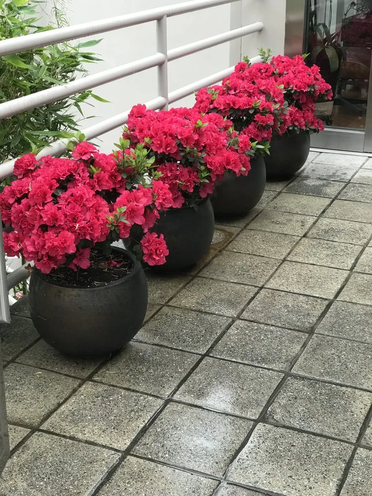 Reliable landscaping services experts serving Upland, CA - Hernandez Landscapes