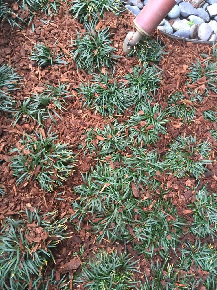 Reliable yard maintenance with custom design in Upland, CA by Hernandez Landscapes