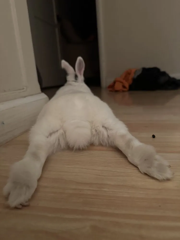 Local lawn mowing service with custom design across Upland, CA - Hernandez Landscapes