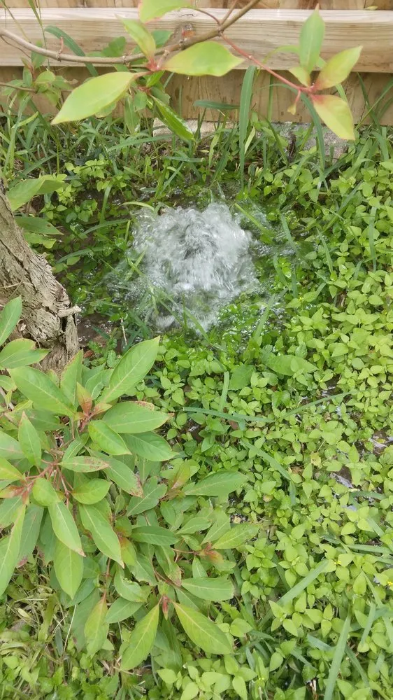 Affordable yard maintenance for beautiful yards in Pharr, TX by Hernandez Landscaping & Irrigation System Repair