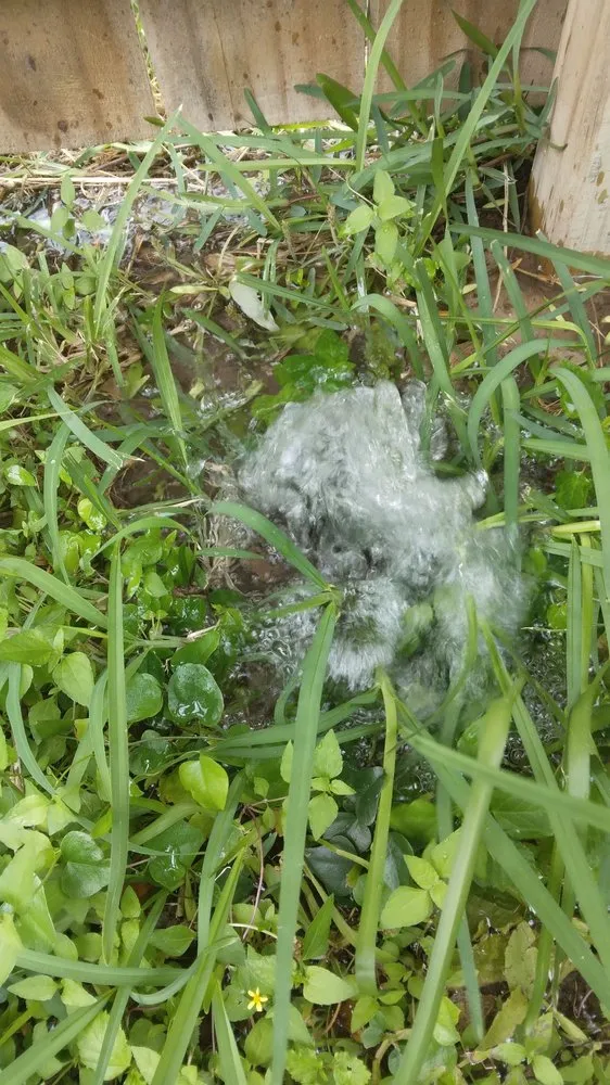 Affordable garden landscaping for beautiful yards across Pharr, TX - Hernandez Landscaping & Irrigation System Repair