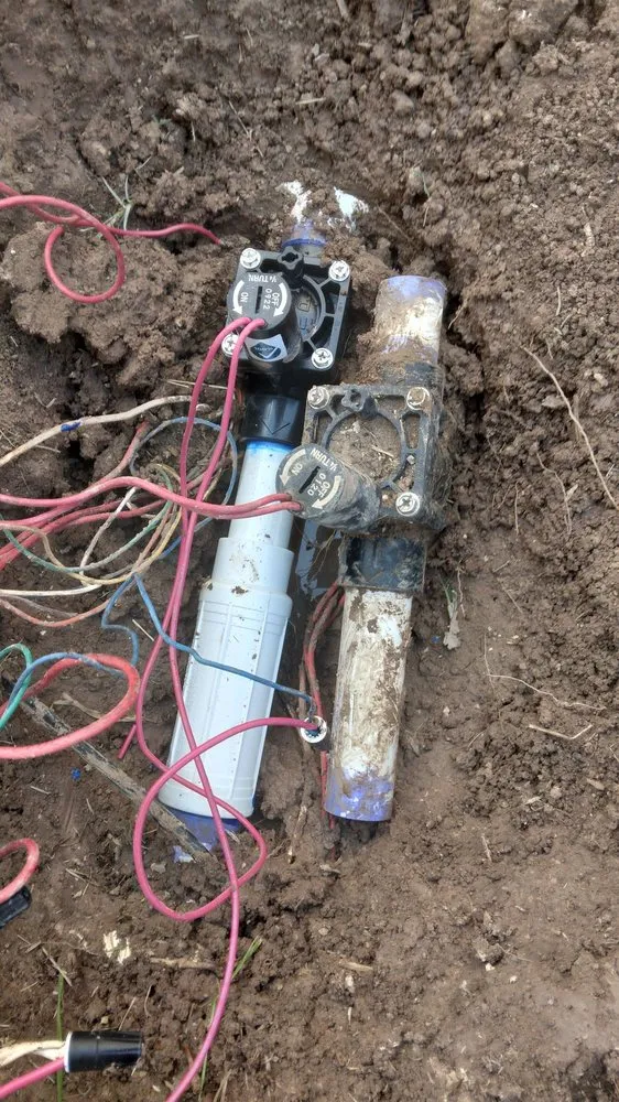 Top-rated landscape installation for year-round maintenance across Pharr, TX - Hernandez Landscaping & Irrigation System Repair