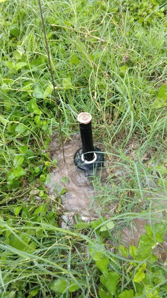 Custom landscaping services experts serving Pharr, TX - Hernandez Landscaping & Irrigation System Repair