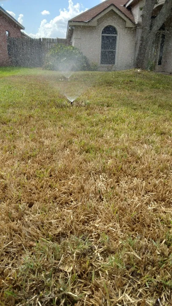 Reliable landscaping services in Pharr, TX - Hernandez Landscaping & Irrigation System Repair