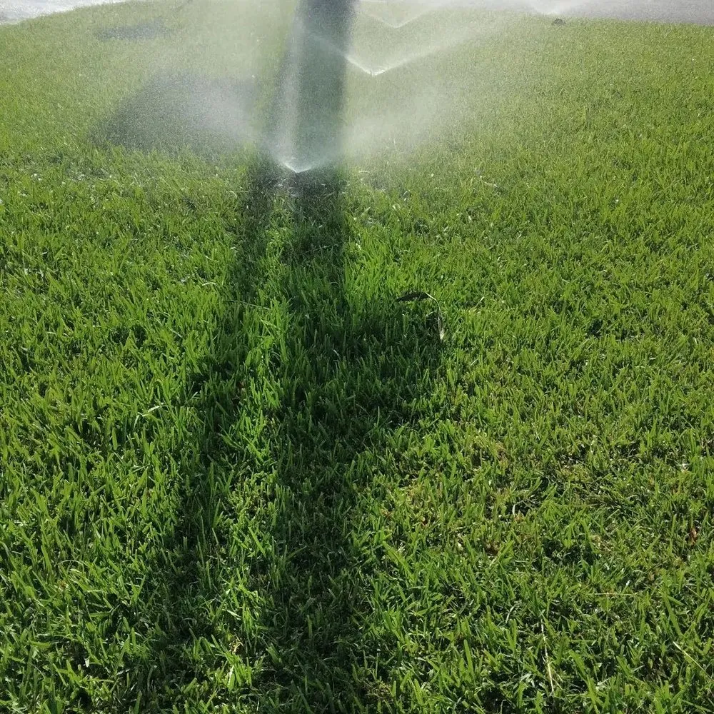 Affordable garden landscaping experts serving Pharr, TX - Hernandez Landscaping & Irrigation System Repair